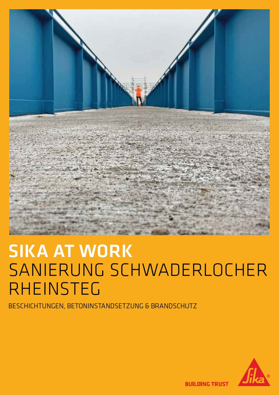 Sanierung Rheinsteg, Schwaderloch