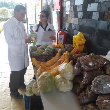 植物和蔬菜西卡哥伦比亚