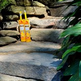 Sikabond-Hardscape-粘合剂