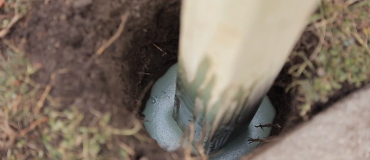 Sika®Postfix®围栏帖子混合